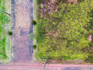 Vista aérea mostrando um terreno com vegetação densa ao redor de uma estrada.