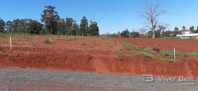 Terreno, foto 5