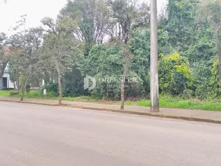 Terreno, foto 4