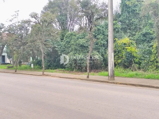 Terreno, foto 4