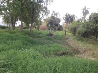 Terreno, foto 2