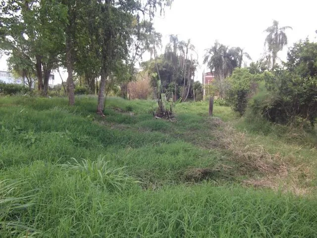 Terreno, foto 2