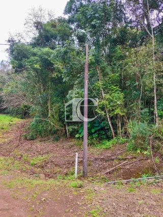 Área rural, foto 7