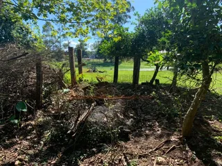 Área rural com 1 dormitório, foto 10