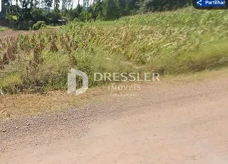 Paisagem de vegetação seca e terra no exterior.