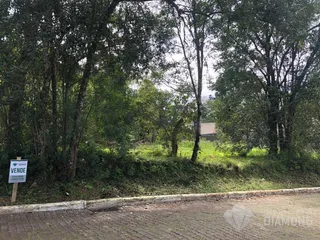 Terreno, foto 2