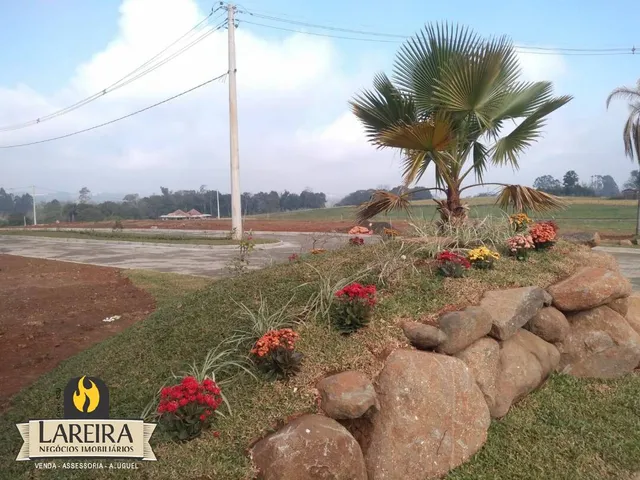 Terreno, foto 3