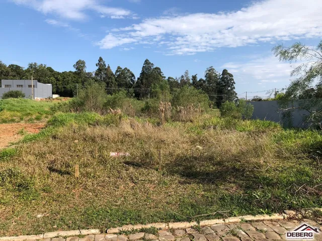 Terreno, foto 2