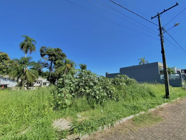 Terreno