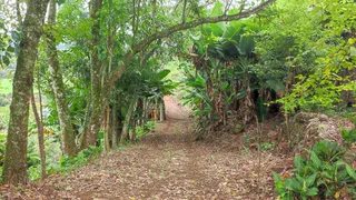 Área rural, foto 6