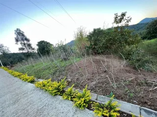 Área rural com 3 dormitórios, foto 10