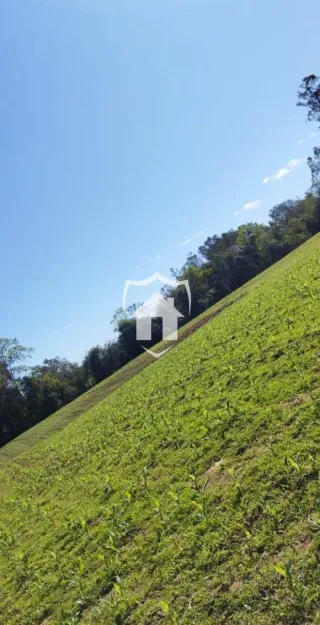 Área rural com 3 dormitórios, foto 2