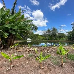 Área rural com 3 dormitórios, foto 8