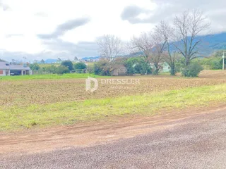 Terreno, foto 5