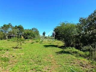 Área rural com 3 dormitórios, foto 1