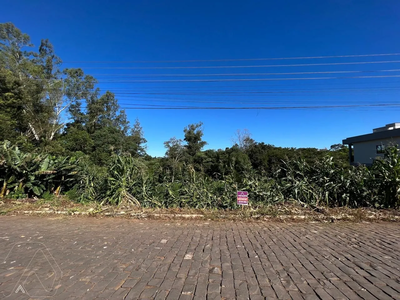 Terreno, foto 1
