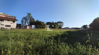 Terreno, foto 6