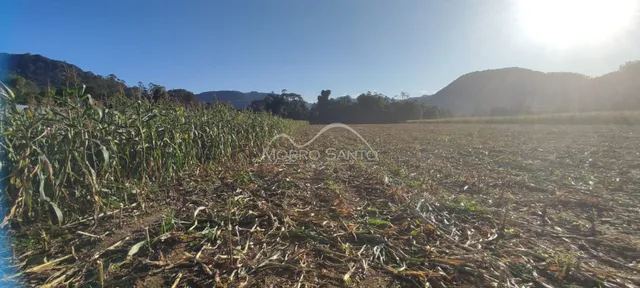 Área rural, foto 4