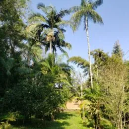 Área rural, foto 12