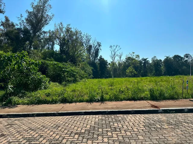 Terreno