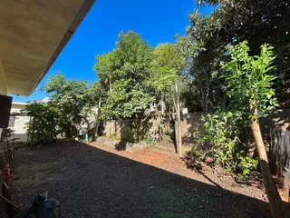Vista externa do terreno com vegetação densa e solo de cascalho.