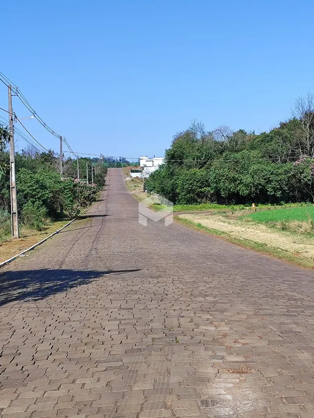 Uma estrada pavimentada se estende por uma área arborizada.