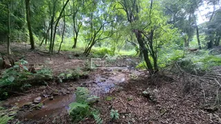Área rural, foto 14