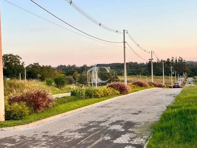 Terreno, foto 4