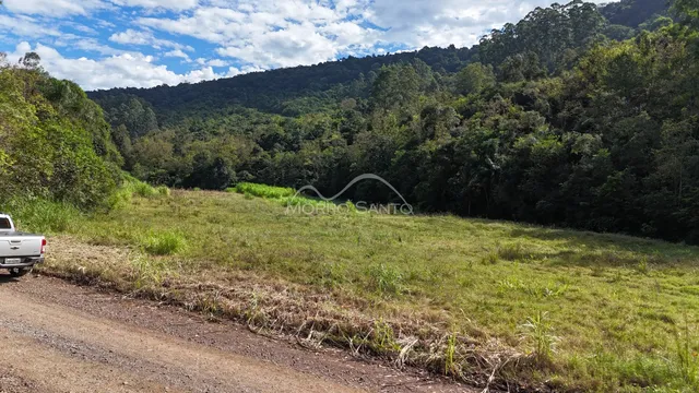 Vista de uma paisagem rural com vegetação densa ao fundo.