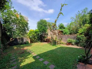 Jardim gramado com muro de alvenaria e vegetação ao fundo.