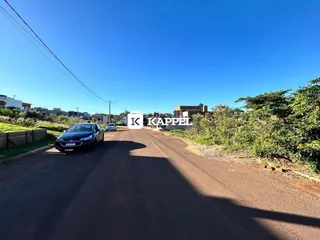 Vista de uma rua asfaltada com vegetação ao lado.
