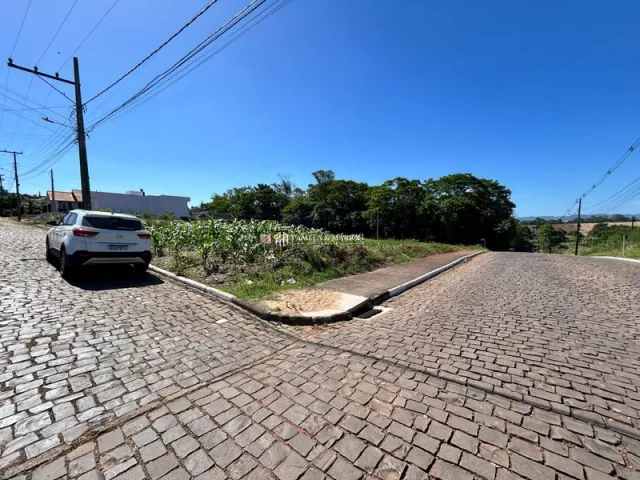 Vista de uma rua pavimentada com pedras no exterior de uma propriedade em Lajeado.