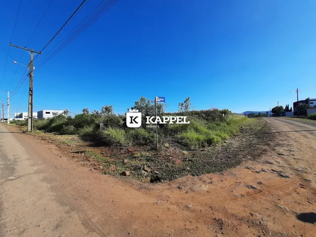 Vista externa de uma estrada de terra em uma propriedade em Lajeado.