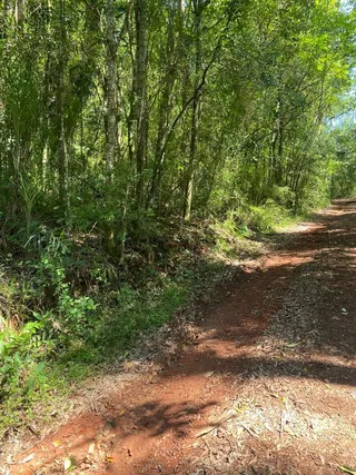Área rural