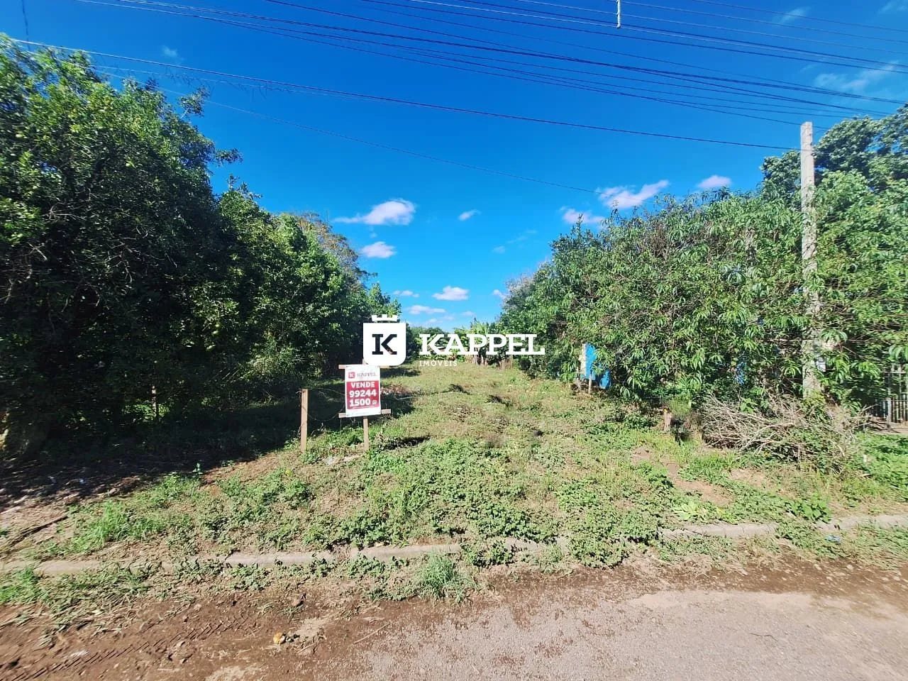 Terreno, foto 1