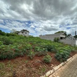 Vista externa de uma área com vegetação densa e caminho de terra em Lajeado.