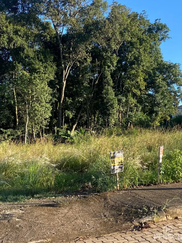 Terreno, foto 4