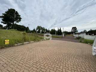 Vista da entrada de uma propriedade com paisagismo e muro.