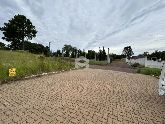 Vista da entrada de uma propriedade com paisagismo e muro.