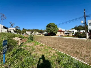 Terreno, foto 2