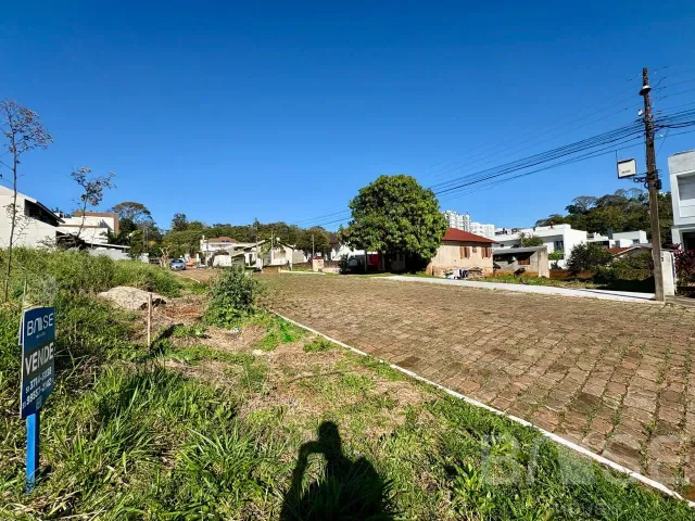 Terreno, foto 2