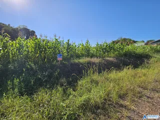 Terreno, foto 3