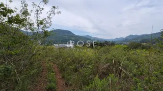 Vista de vegetação densa com trilha no meio da paisagem.