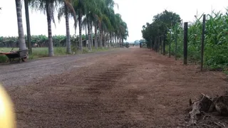 Área rural, foto 4