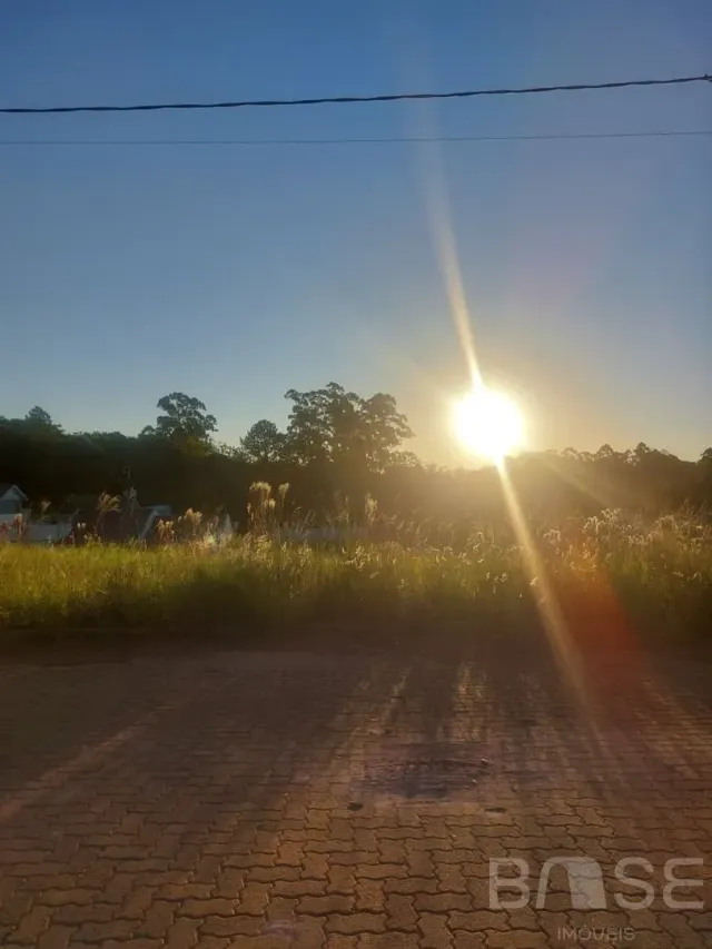 Terreno, foto 2