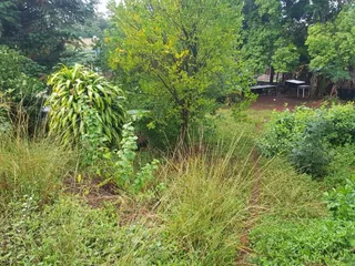 Terreno, foto 1