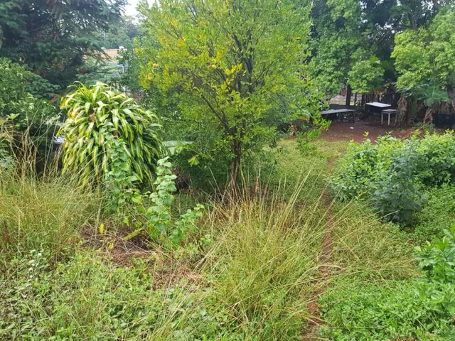 Terreno