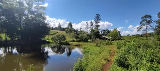Área rural com 5 dormitórios, foto 10