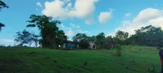 Vista externa de uma residência em Lajeado, Brasil, cercada por vegetação e gramado.