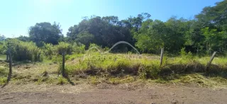 Vista externa de vegetação e campo aberto em uma área.